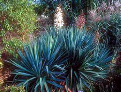 image008.png
