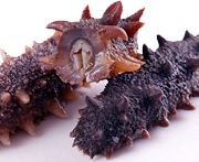 image041.png